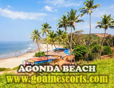 Agonda Beach escorts